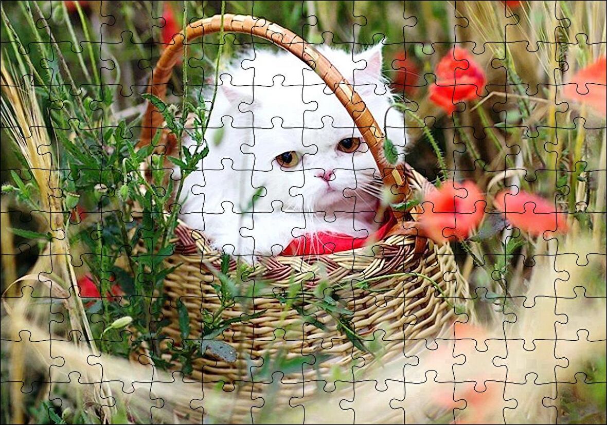 Cakapuzzle  Beyaz Kedi Sepet İçinde Doğada Puzzle Yapboz MDF Ahşap