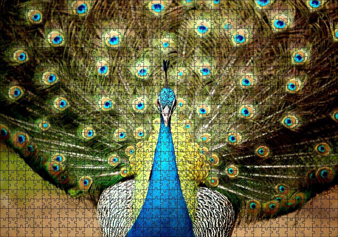 Cakapuzzle  Tavus Kuşu Mavili Yeşilli Puzzle Yapboz MDF Ahşap