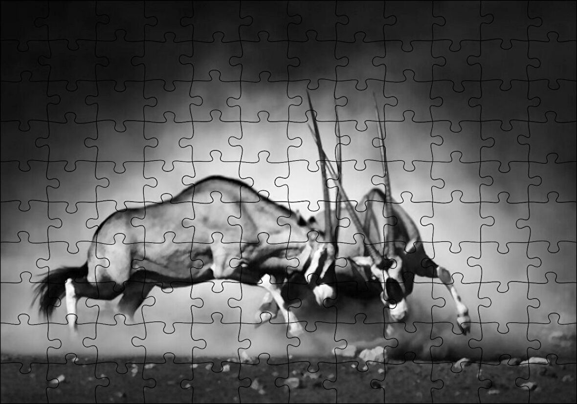 Cakapuzzle  Antilop Kavgası Puzzle Yapboz MDF Ahşap