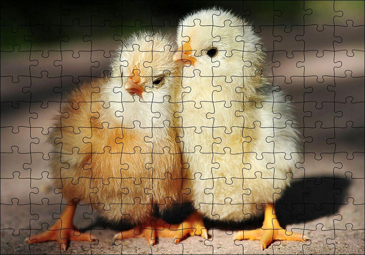 Cakapuzzle  Sevimli İki Civciv Puzzle Yapboz MDF Ahşap