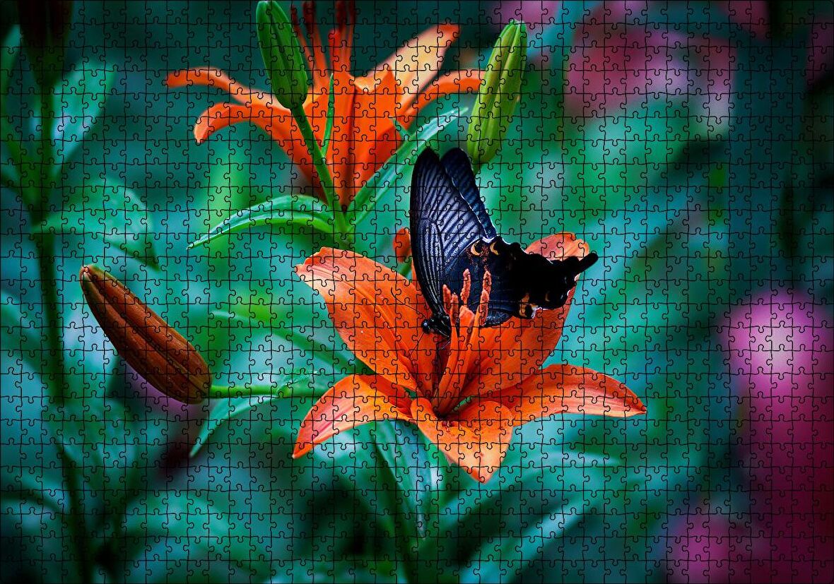 Cakapuzzle  Truncu Lilyum Çiçeği Ve Mavi Kelebek Görseli Puzzle Yapboz MDF Ahşap