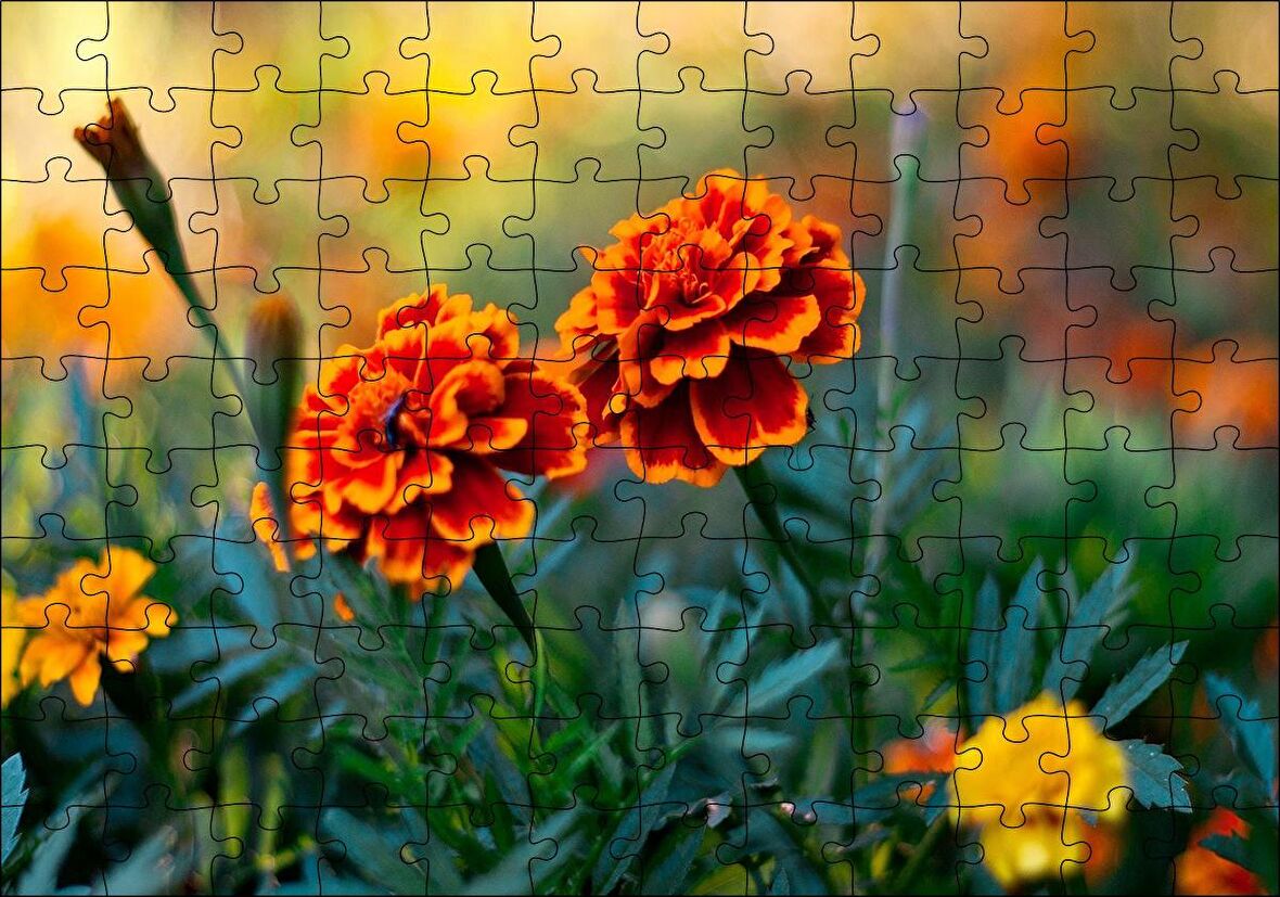 Cakapuzzle  Turuncu Karanfil Çiçeği Görseli Puzzle Yapboz MDF Ahşap