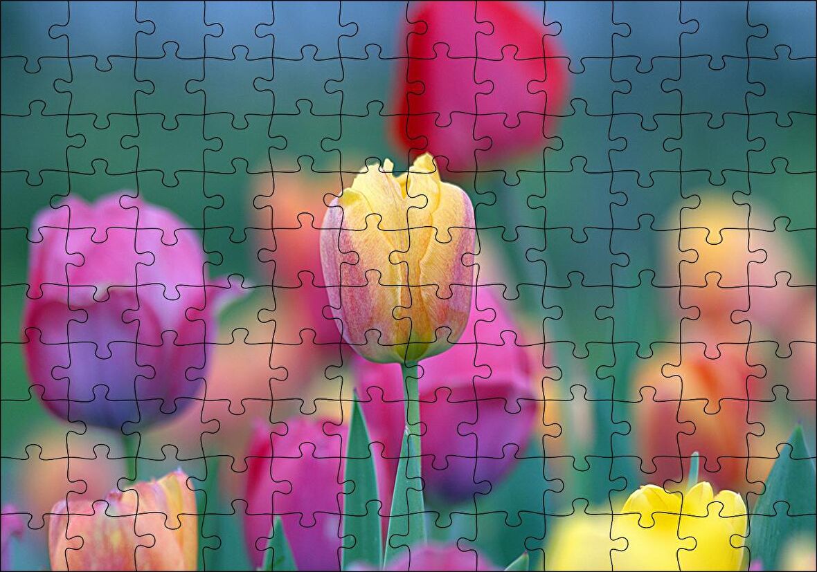 Cakapuzzle  Baharda Renkli Laleler Görseli Puzzle Yapboz MDF Ahşap