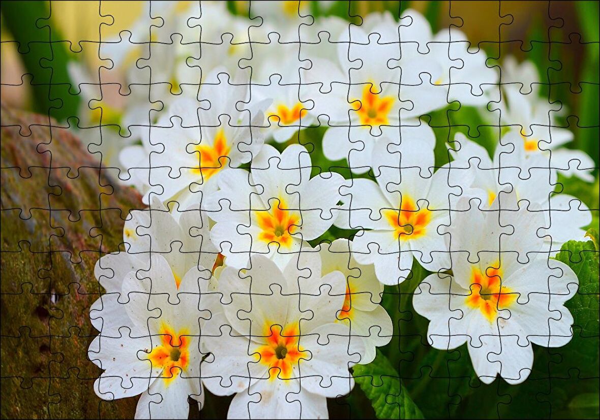 Cakapuzzle  Bayaz Çuha Çiçeği Görseli Puzzle Yapboz MDF Ahşap