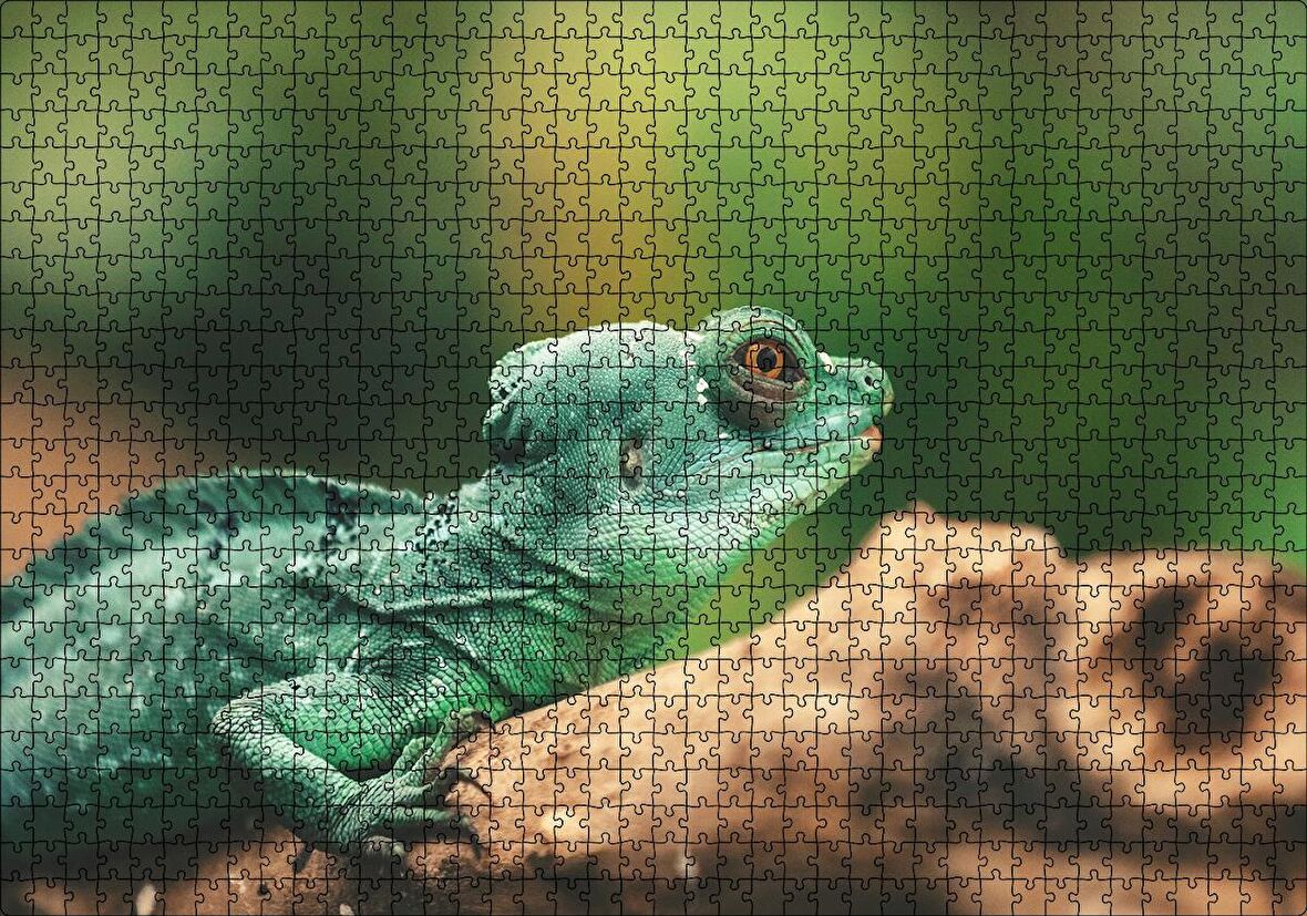 Cakapuzzle  Mango Kökü Üzerindeki Yeşil Kertenkele Puzzle Yapboz MDF Ahşap
