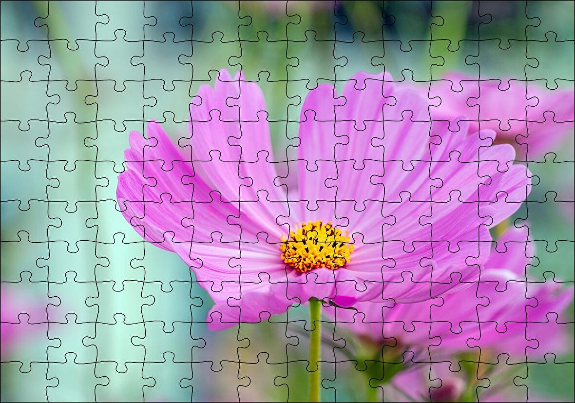 Cakapuzzle  Mor Kosmeya Çiçekler Görseli Puzzle Yapboz MDF Ahşap