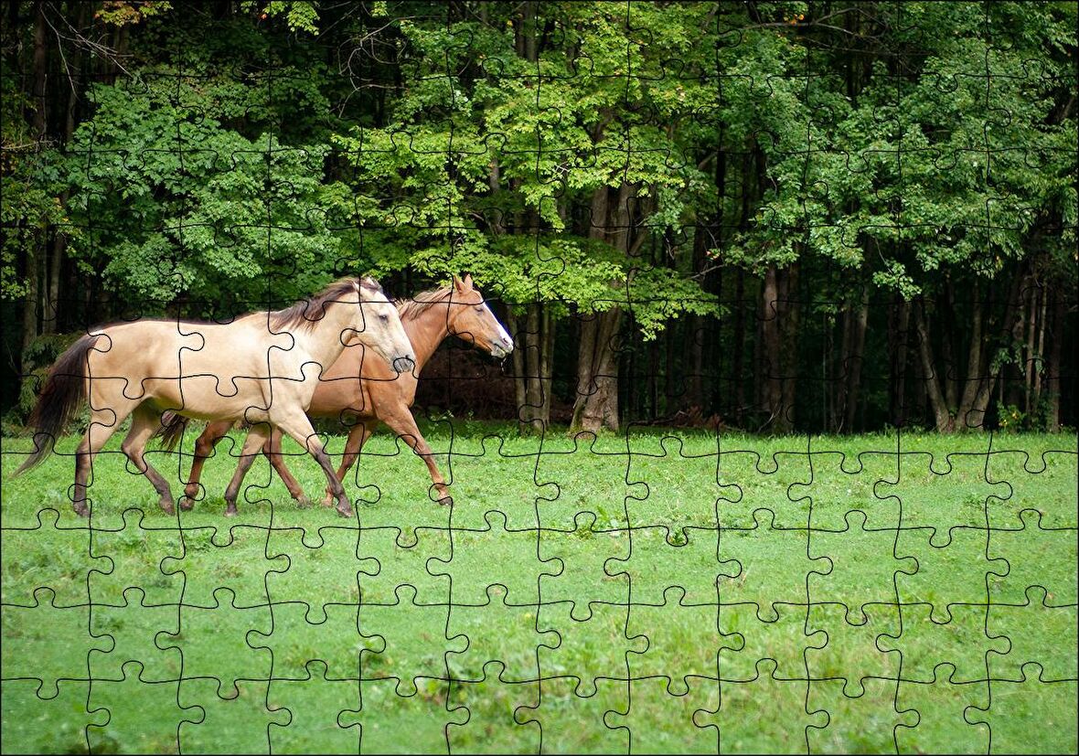 Cakapuzzle  Orman Yeşil Çayırlar ve Bir Çift At Puzzle Yapboz MDF Ahşap