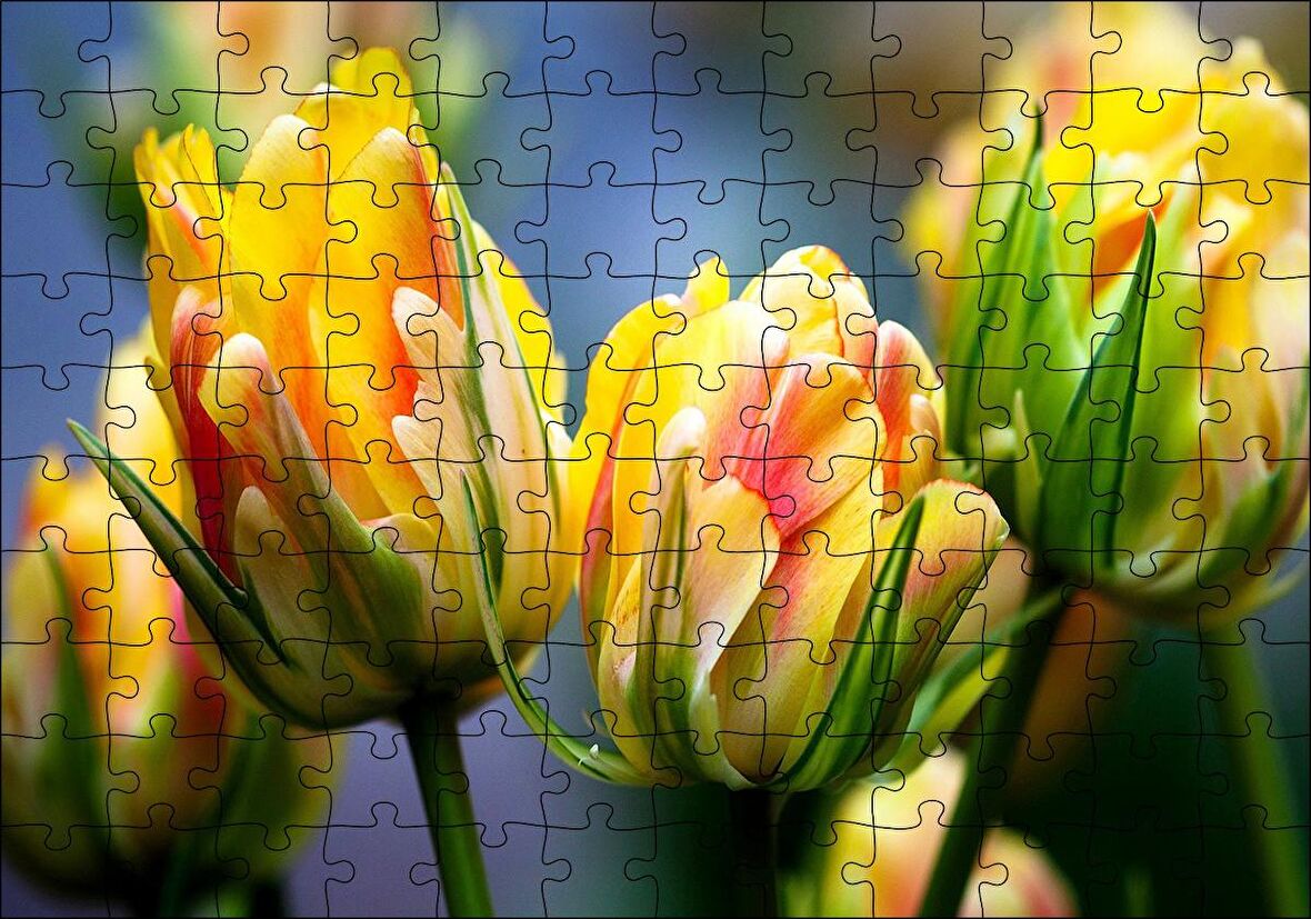 Cakapuzzle  Sarı Yeşil Çiçekler Yakın Plan Puzzle Yapboz MDF Ahşap