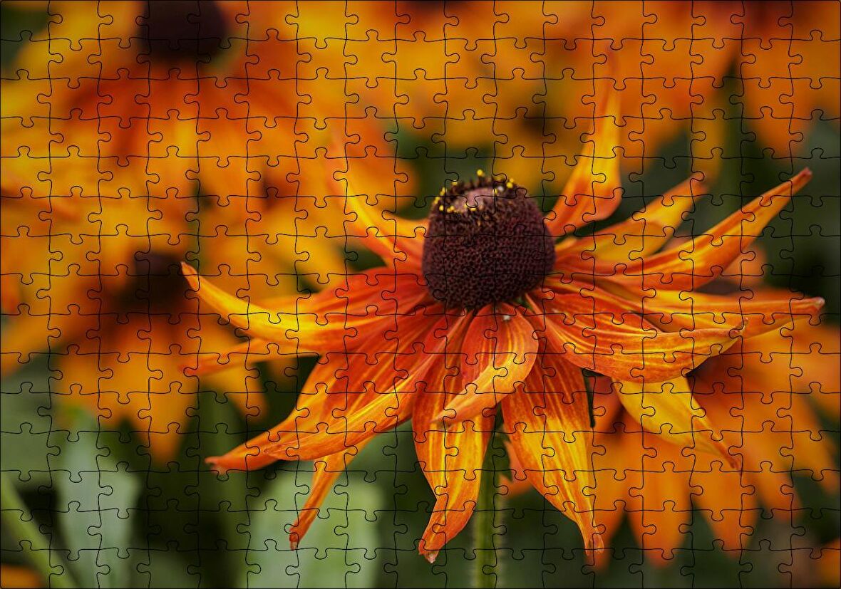 Cakapuzzle  Turuncu Yapraklı Çiçek Yakın Plan Puzzle Yapboz MDF Ahşap