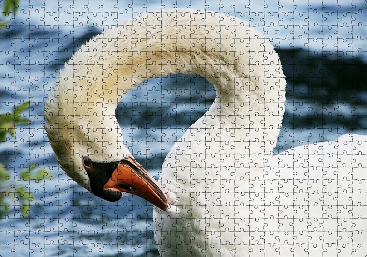 Cakapuzzle  Zarif Beyaz Kuğu Yakın Plan Puzzle Yapboz MDF Ahşap