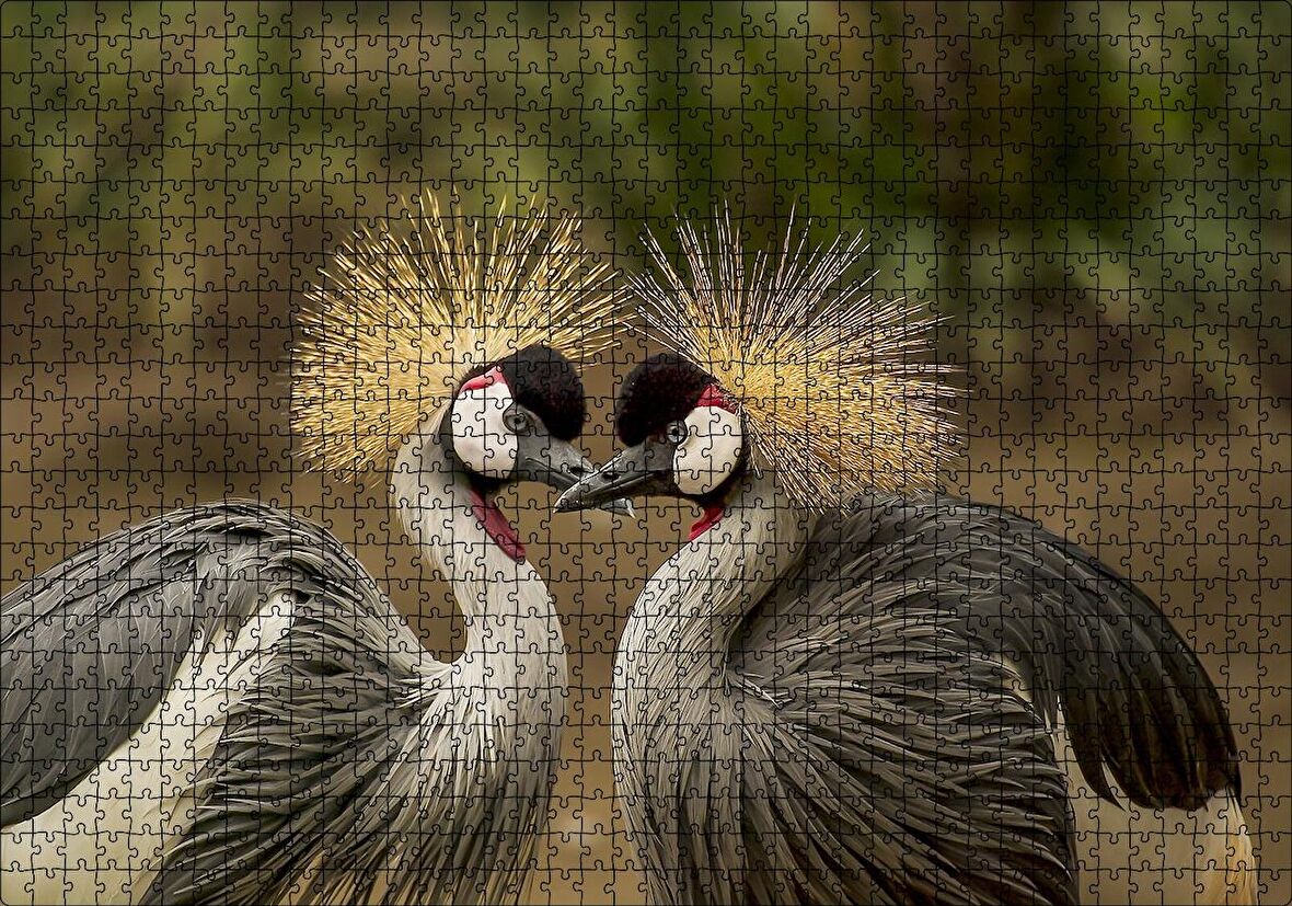 Cakapuzzle  Gri Vinçler Taç Kuşları Görsel Puzzle Yapboz MDF Ahşap