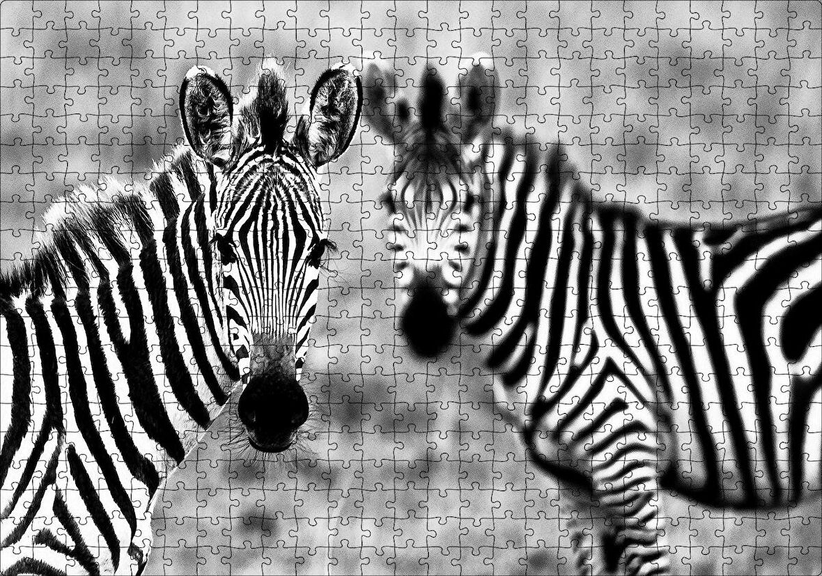 Cakapuzzle  İki Sevimli Zebra Görseli Puzzle Yapboz MDF Ahşap