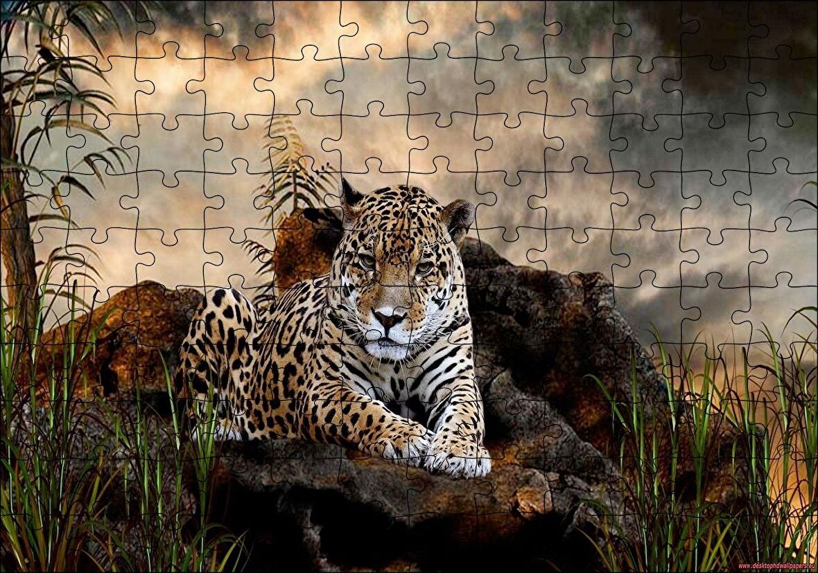 Cakapuzzle  Kayalıklarda Jaguar Kara Bulutlar Görseli Puzzle Yapboz MDF Ahşap