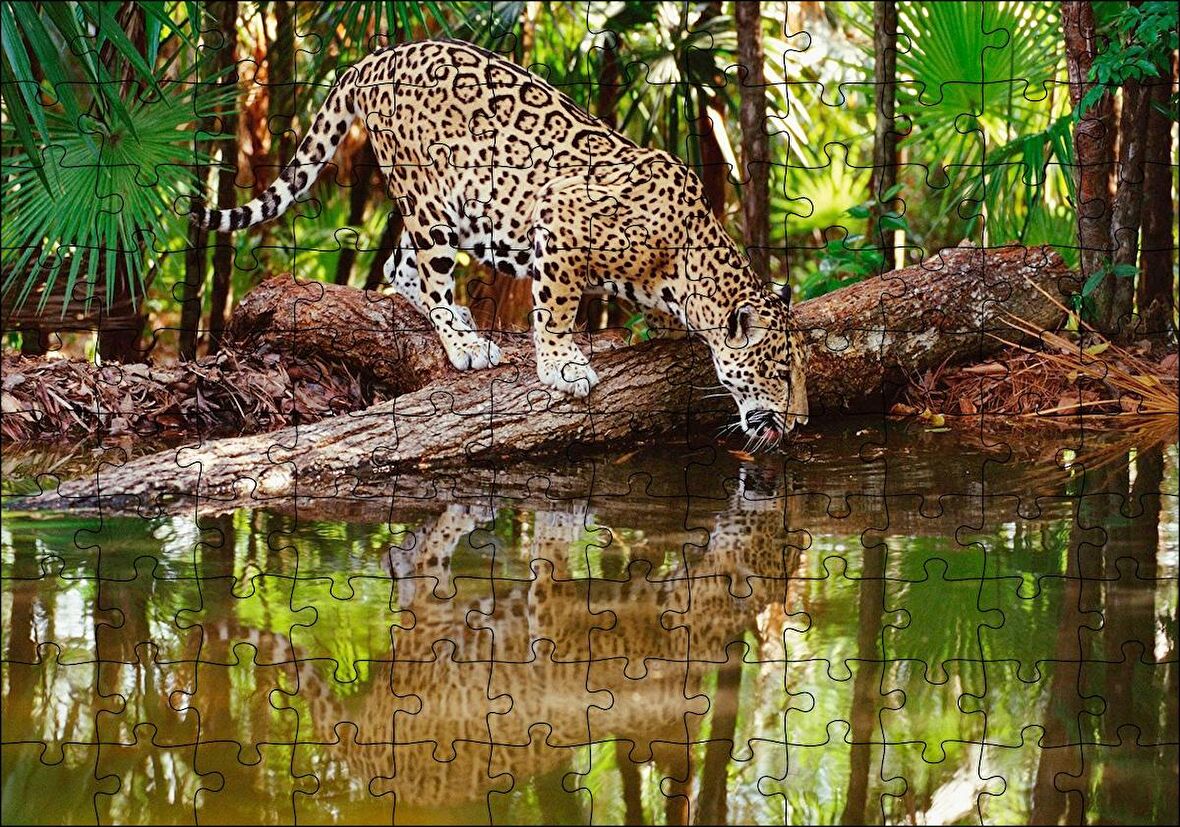 Cakapuzzle  Ormanda Su İçen Leopar Görseli Puzzle Yapboz MDF Ahşap