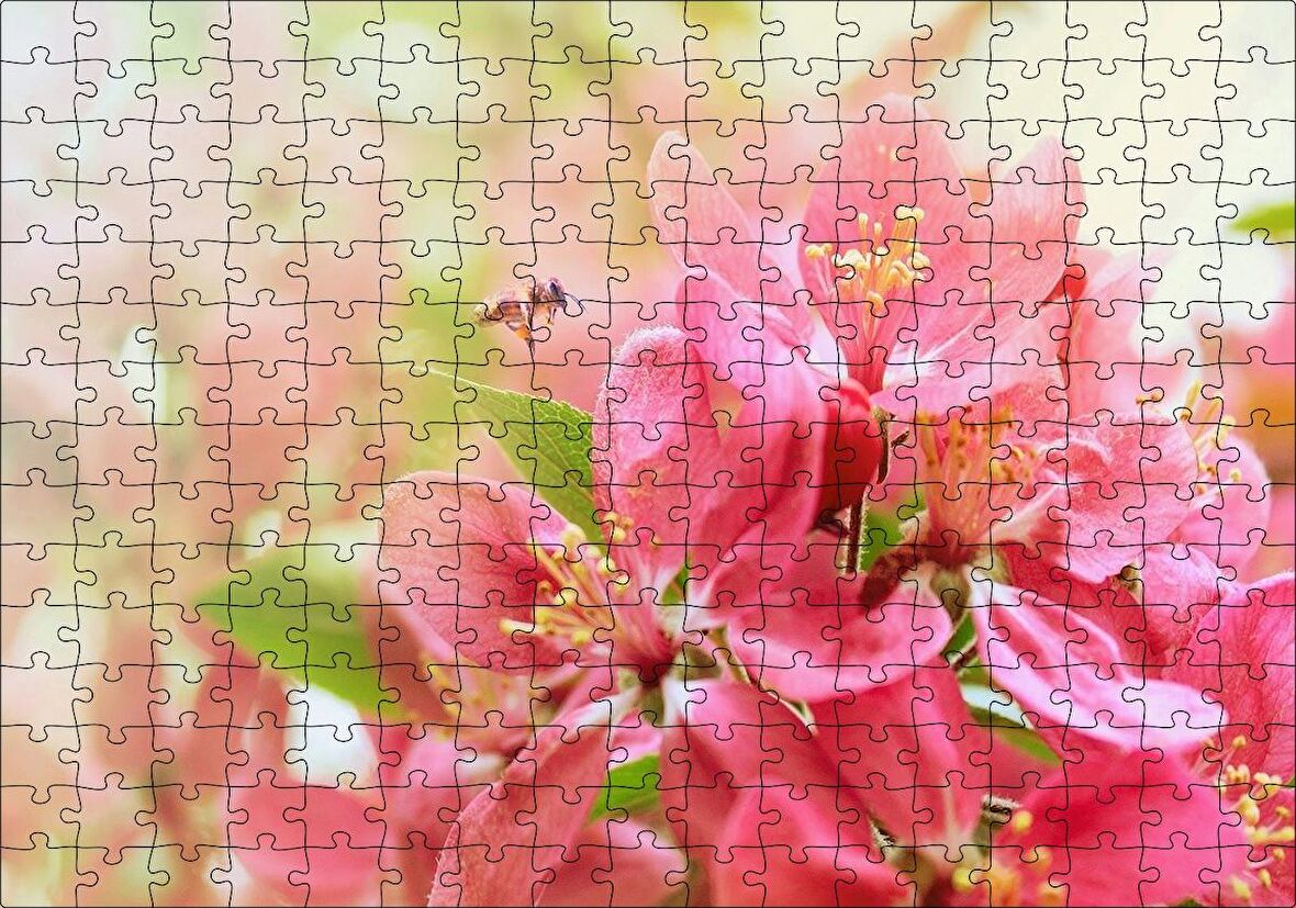 Cakapuzzle  Pembe Elma Çiçeği Görseli Puzzle Yapboz MDF Ahşap