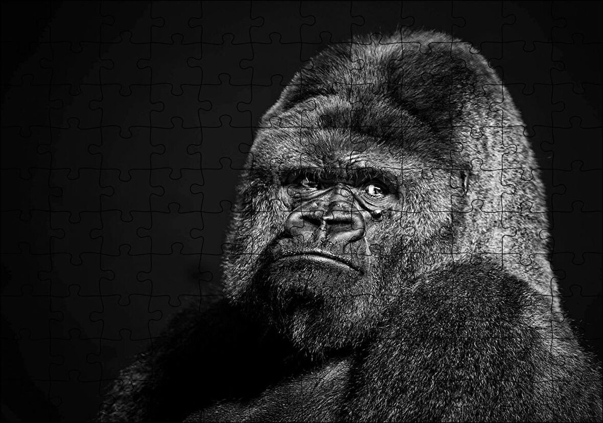 Cakapuzzle  Siyah Goril Görseli Puzzle Yapboz MDF Ahşap