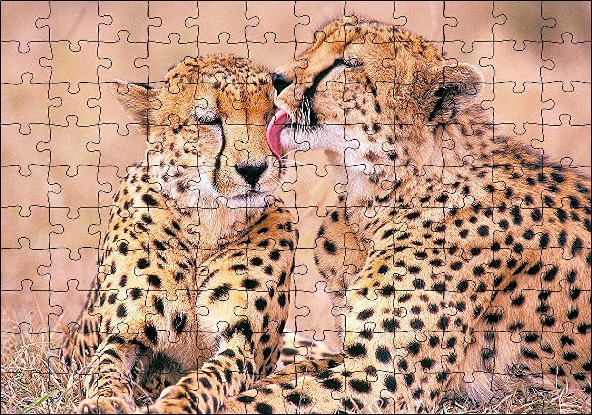 Cakapuzzle  Çita Ailesi Temizleniyor Puzzle Yapboz MDF Ahşap