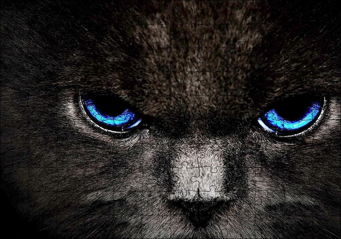 Cakapuzzle  Karakedinin Mavi Gözleri Puzzle Yapboz MDF Ahşap