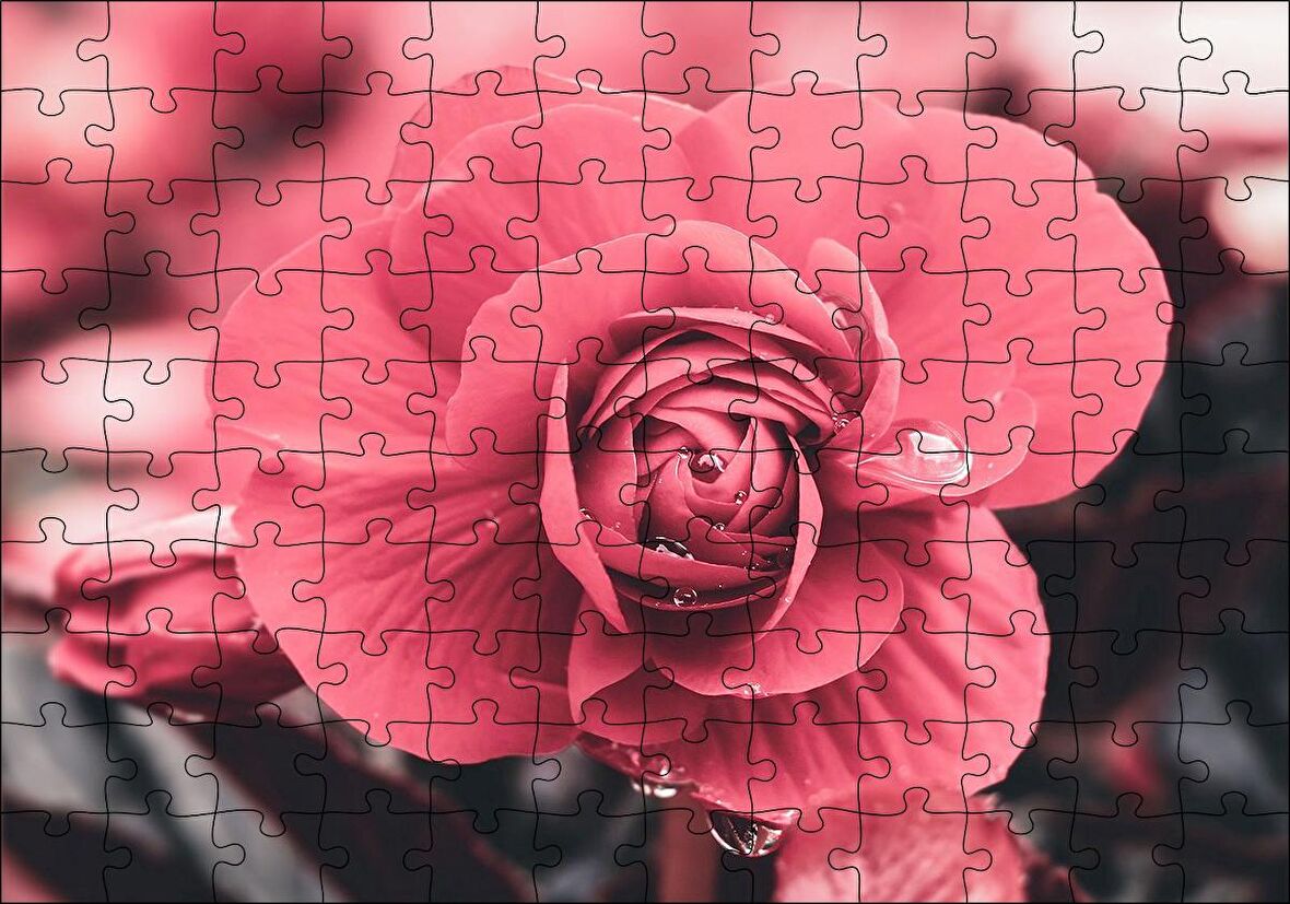 Cakapuzzle  Kırmızı Çiçek ve Damlalar Yakın Plan Puzzle Yapboz MDF Ahşap