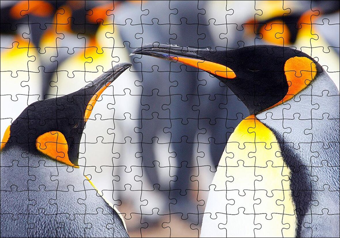 Cakapuzzle  Kral Penguenler Puzzle Yapboz MDF Ahşap
