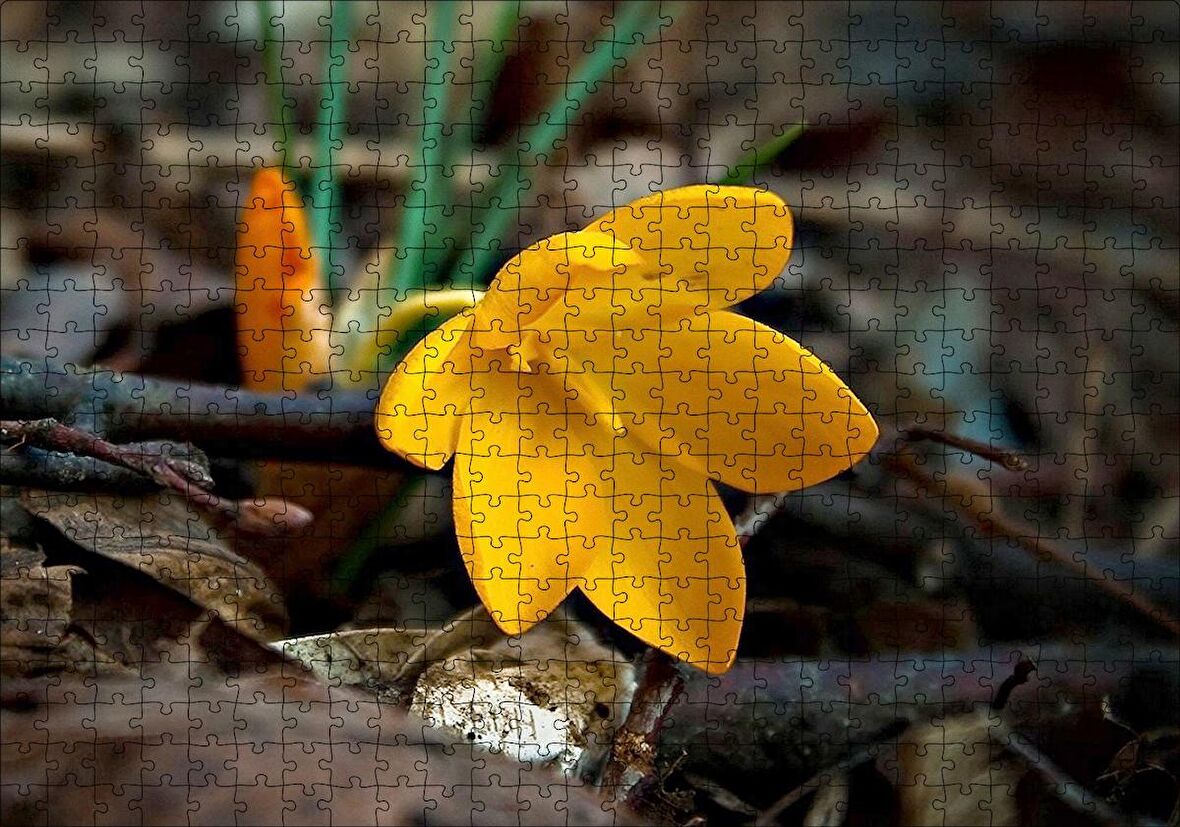 Cakapuzzle  Kütükler Arasında Sarı Çiçek Puzzle Yapboz MDF Ahşap