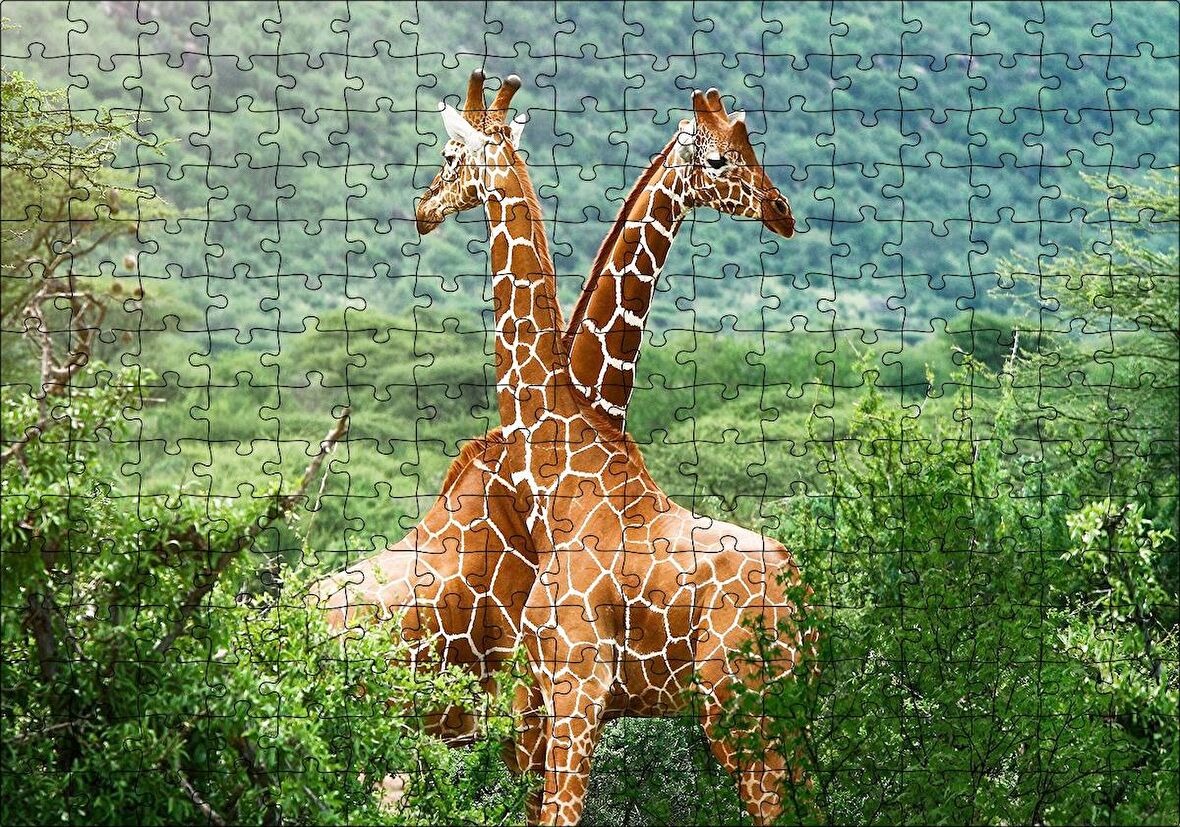 Cakapuzzle  Ormanda Zürafa Çifti Puzzle Yapboz MDF Ahşap