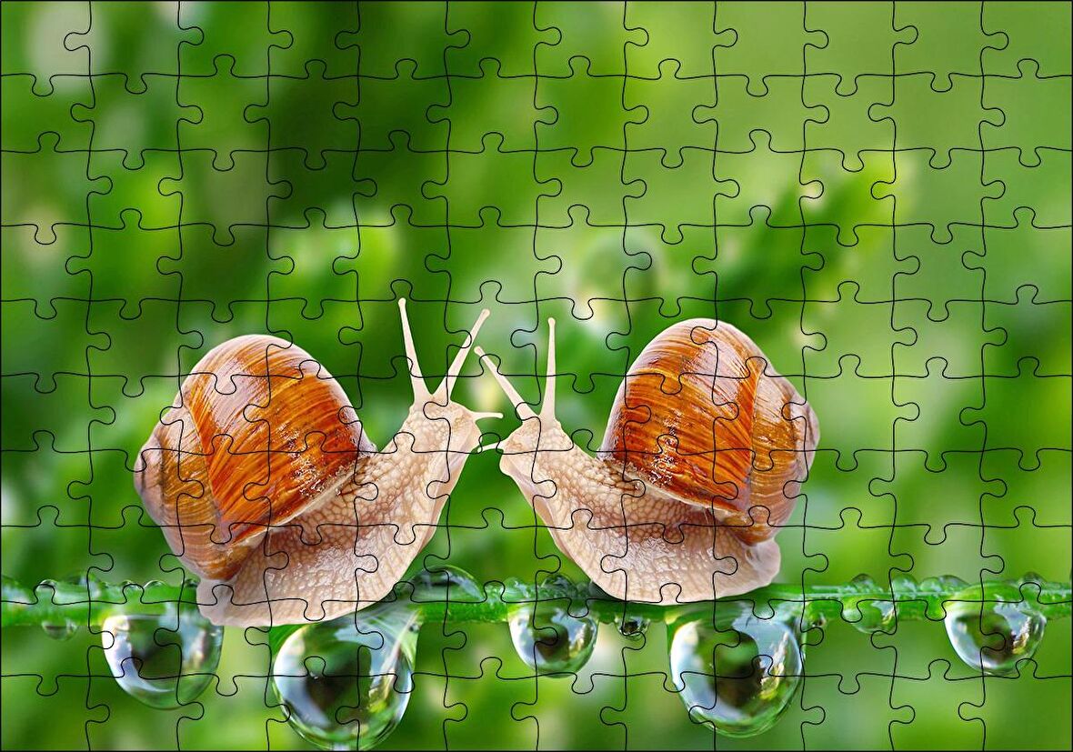 Cakapuzzle  Salyangozlar Karşılaşması Yeşil Damlacıkları Görseli Puzzle Yapboz MDF Ahşap