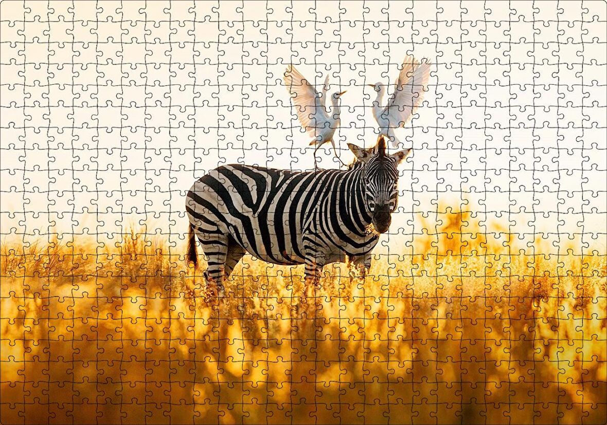 Cakapuzzle  Doğada Zebra Ve Kuşlar Görseli Puzzle Yapboz MDF Ahşap