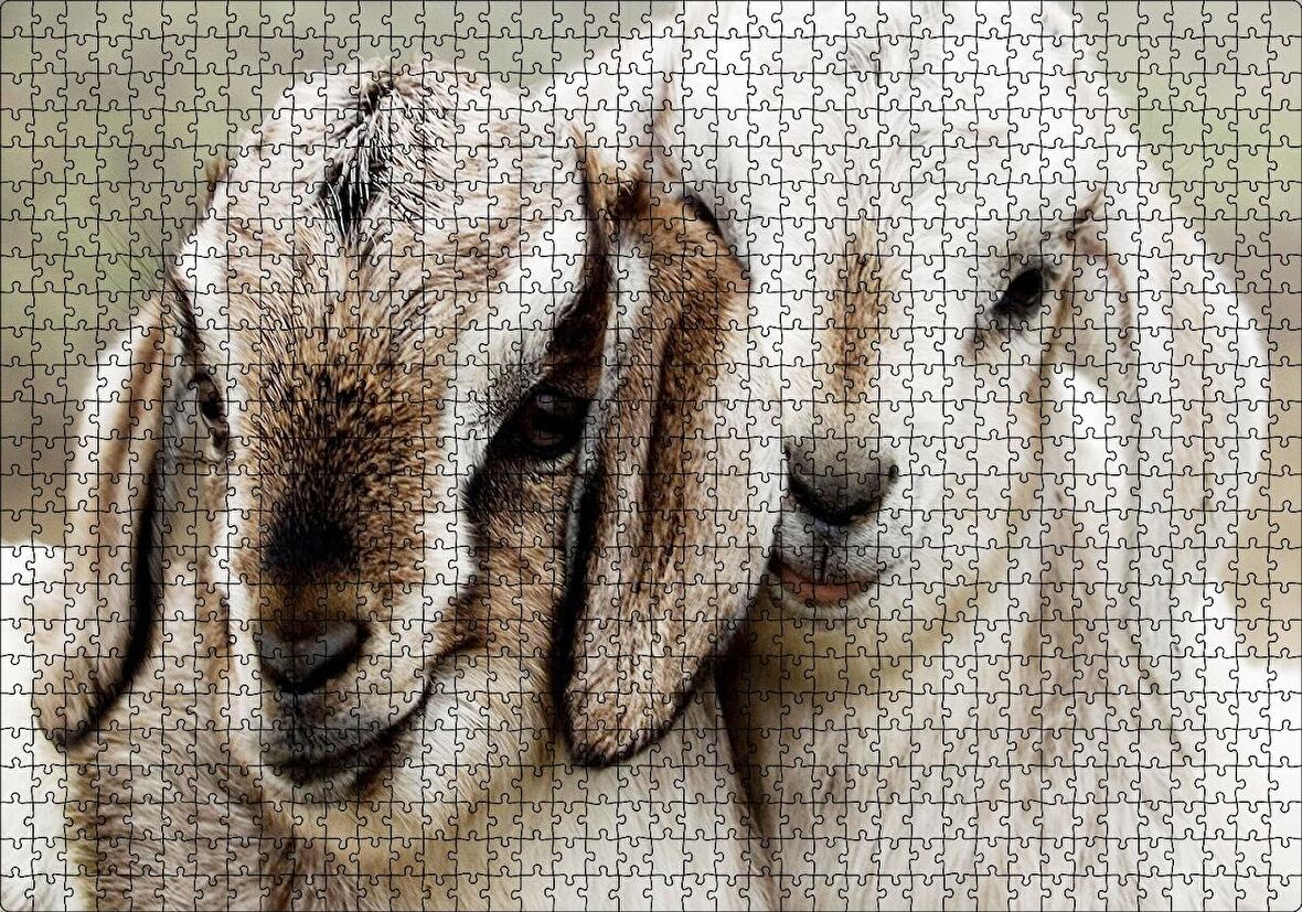Cakapuzzle  Keçi Yvruları Görseli Puzzle Yapboz MDF Ahşap