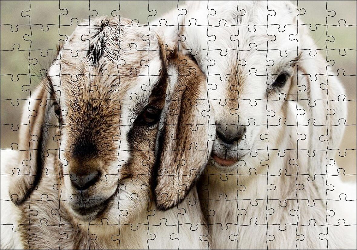 Cakapuzzle  Keçi Yvruları Görseli Puzzle Yapboz MDF Ahşap