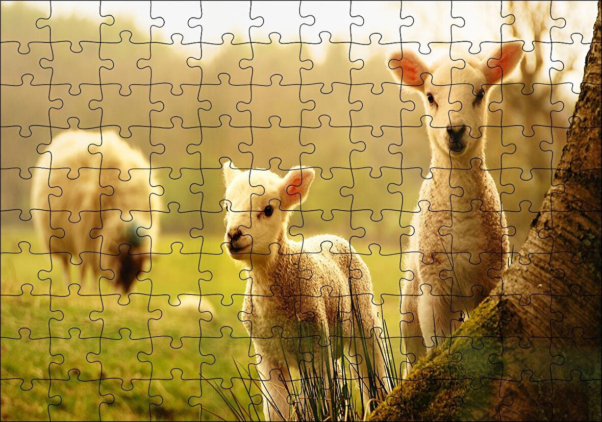Cakapuzzle  Koyun Kuzular Görseli Puzzle Yapboz MDF Ahşap