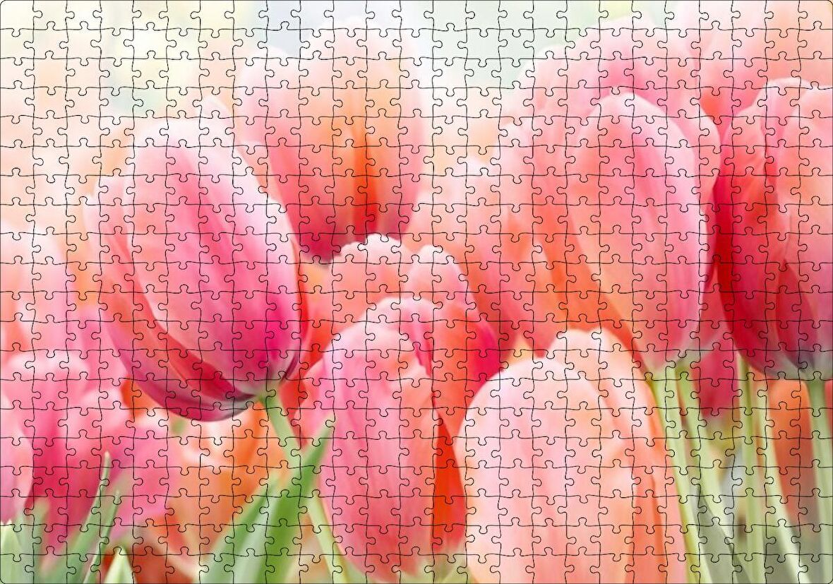 Cakapuzzle  Pembe Laleler Görseli Puzzle Yapboz MDF Ahşap