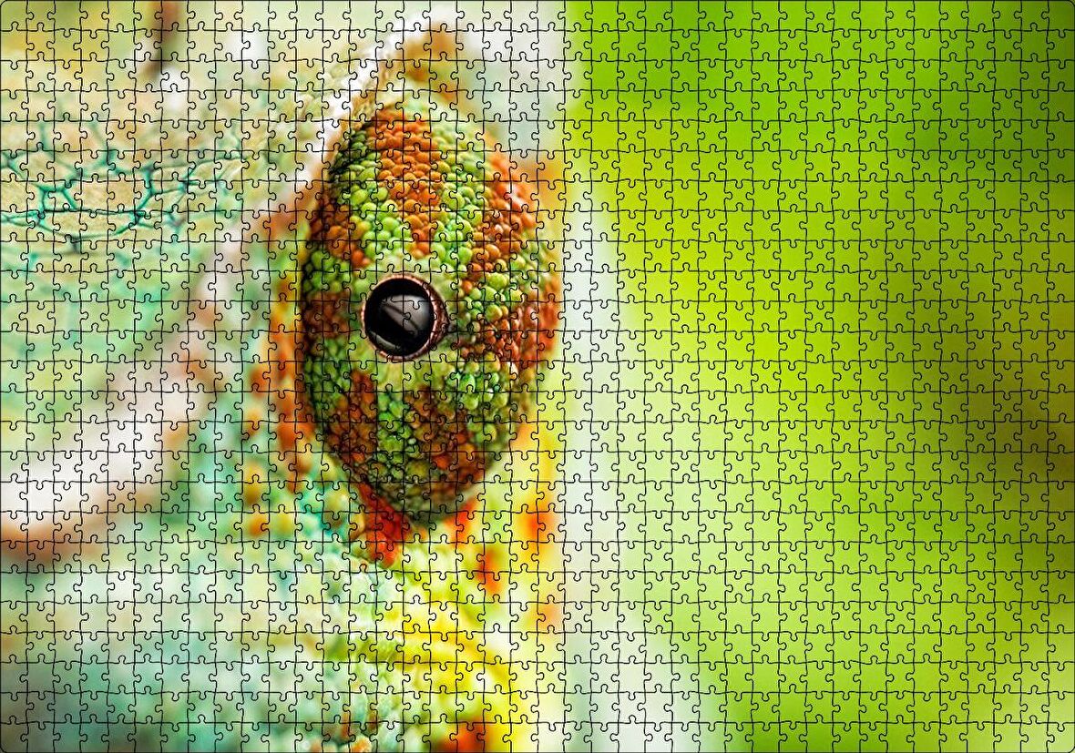 Cakapuzzle Bukalemun Gözü Yakın Çekim Flu Arka Plan Puzzle Yapboz MDF Ahşap