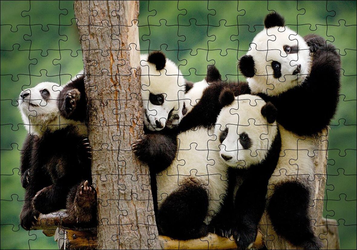 Cakapuzzle Dalda Oynayan Yavru Pandalar Puzzle Yapboz MDF Ahşap