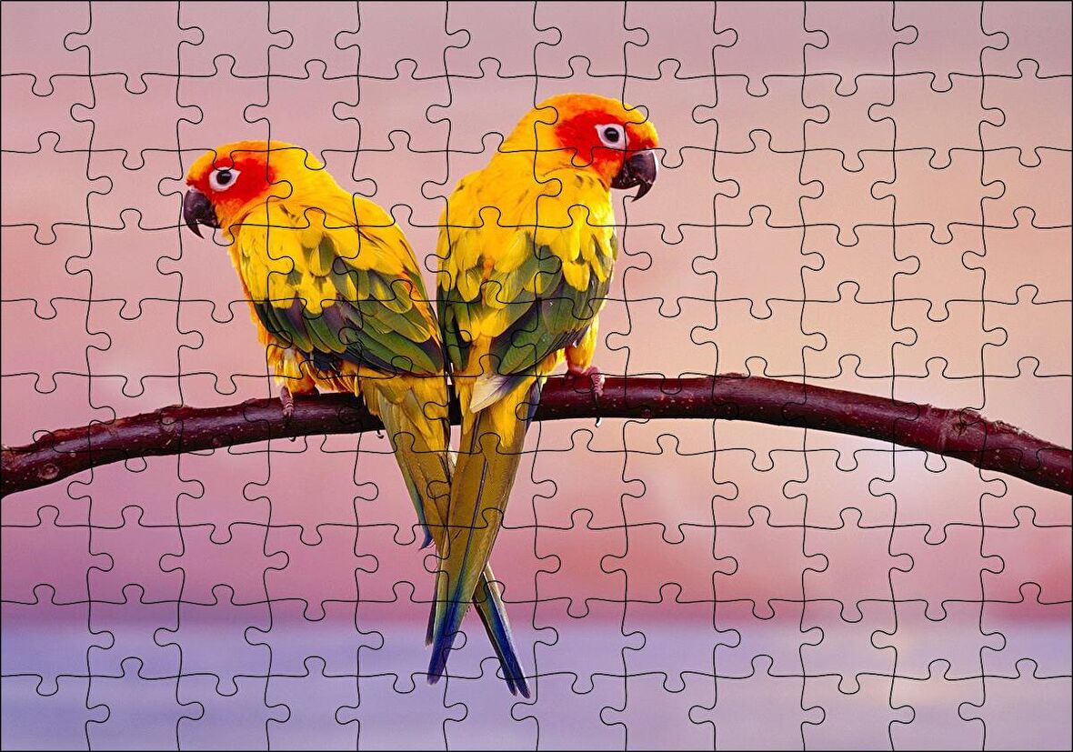 Cakapuzzle Daldaki Sarı Kırmızı Yeşil Sevda Kuşları Flu Deniz Arka Plan Puzzle Yapboz MDF Ahşap