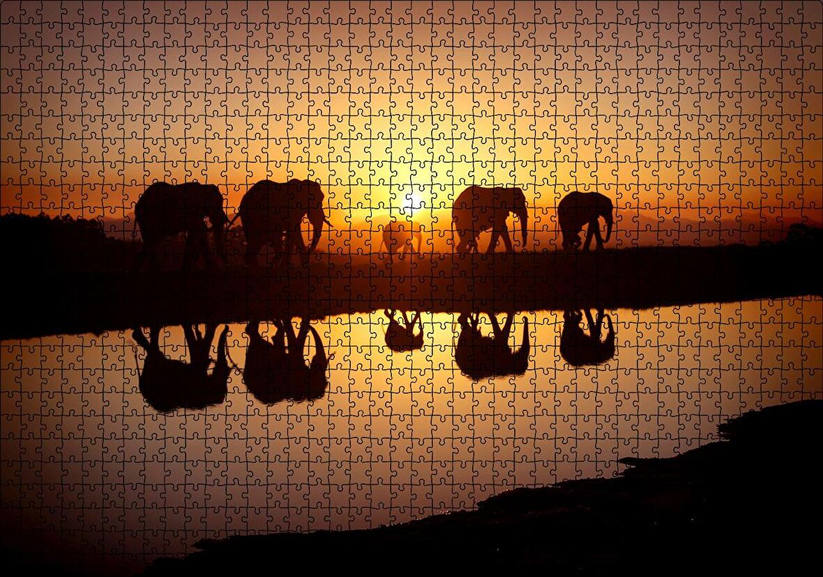 Cakapuzzle Günbatımında Nehir Kenarındaki Fil Ailesi Puzzle Yapboz MDF Ahşap