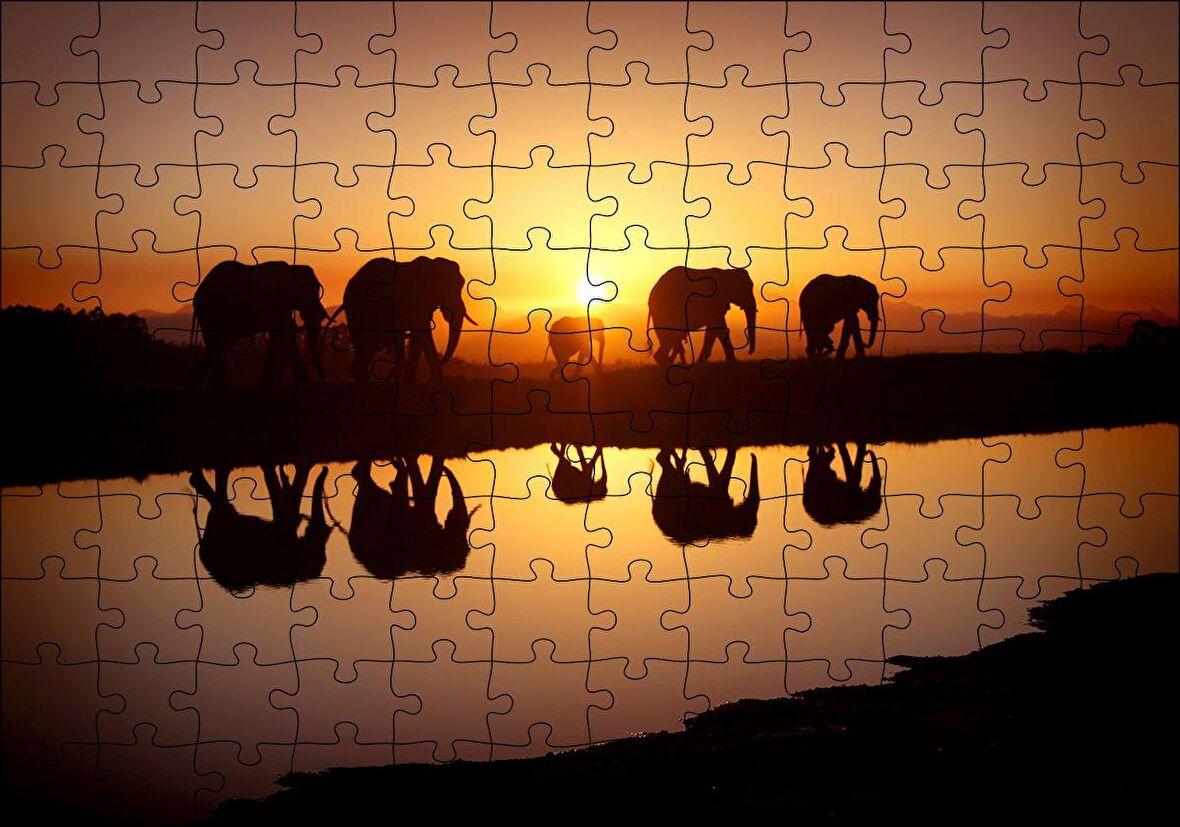 Cakapuzzle Günbatımında Nehir Kenarındaki Fil Ailesi Puzzle Yapboz MDF Ahşap