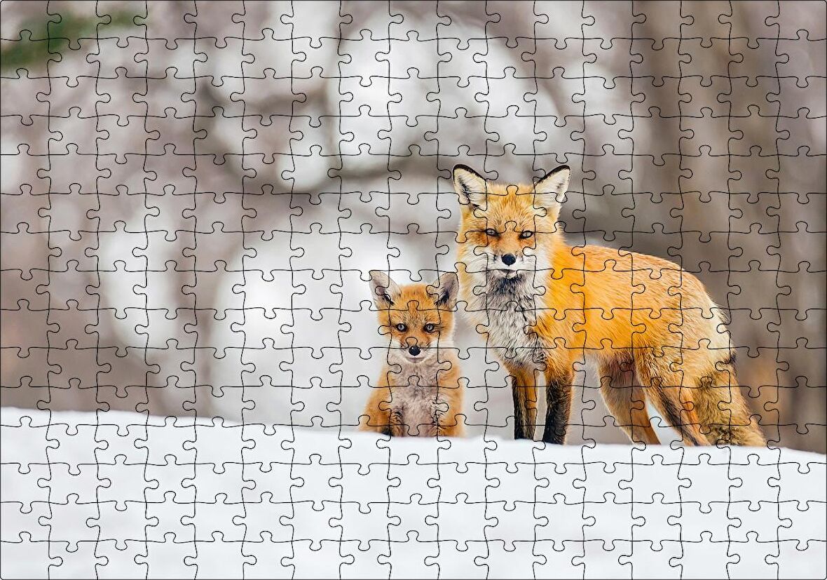 Cakapuzzle Karlar Üzerinde Kutup Tilkisi ve Yavrusu Puzzle Yapboz MDF Ahşap