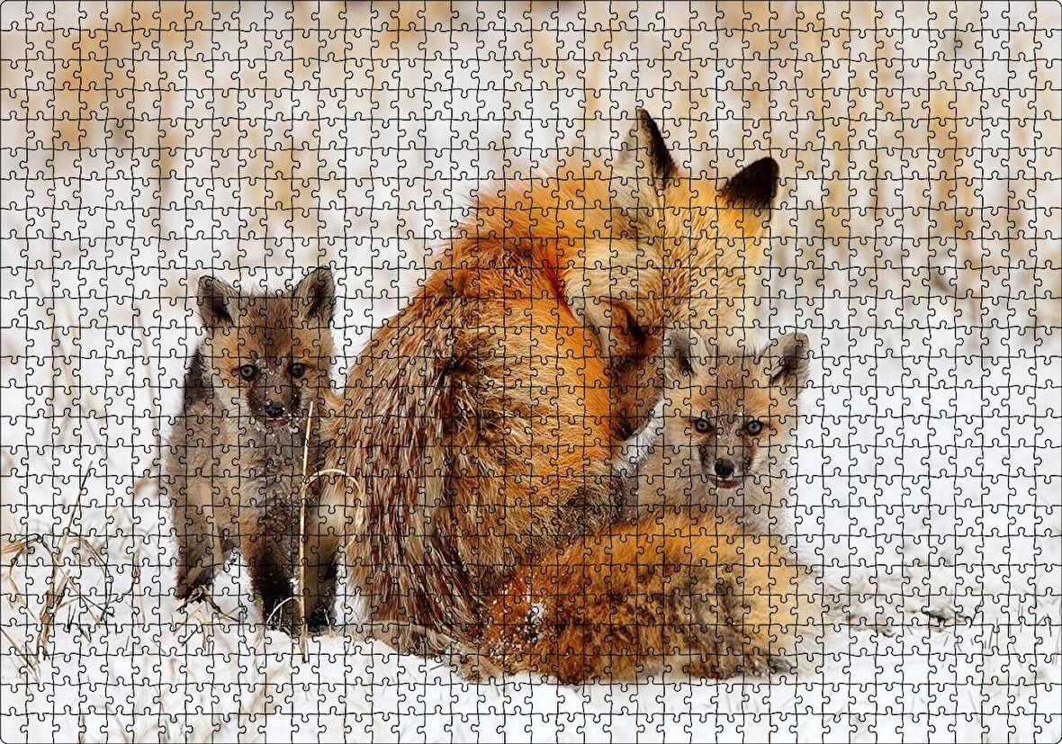 Cakapuzzle Karlar Üzerindeki Kızıl Tilki ve Yavruları Puzzle Yapboz MDF Ahşap