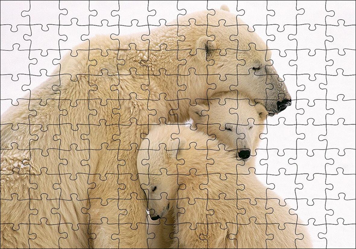 Cakapuzzle Kutup Ayısı ve Sevimli Yavruları Kar Arkaplan Puzzle Yapboz MDF Ahşap
