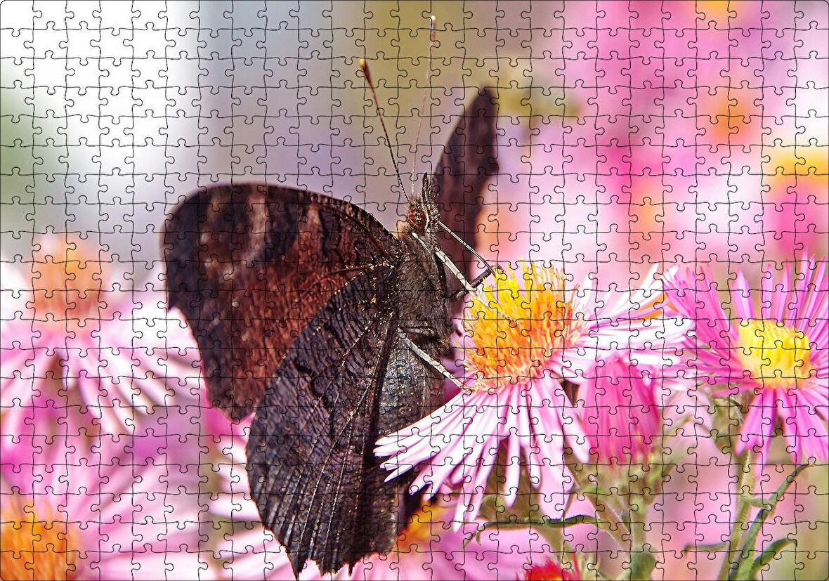 Cakapuzzle Mor Çiçeklerin Üzerindeki Kahverengi Kelebek Puzzle Yapboz MDF Ahşap