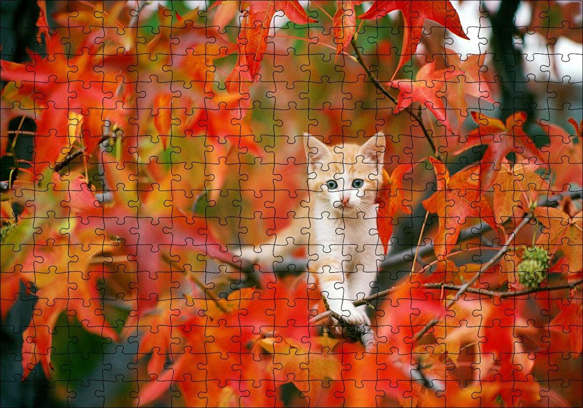 Cakapuzzle Sonbaharda Çınar Yaprakları Arasındaki Yavru Kedi Puzzle Yapboz MDF Ahşap