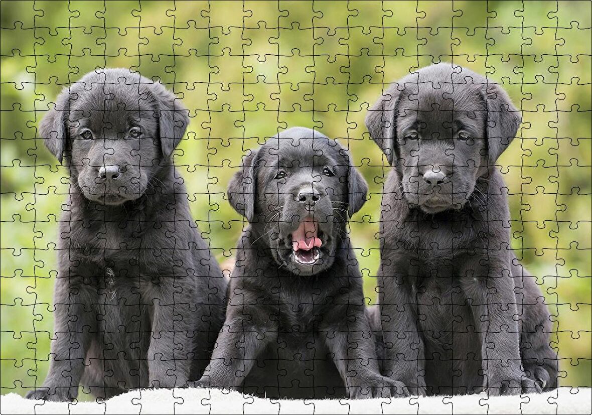 Cakapuzzle Üç Sevimli Siyah Yavru Köpek Puzzle Yapboz MDF Ahşap