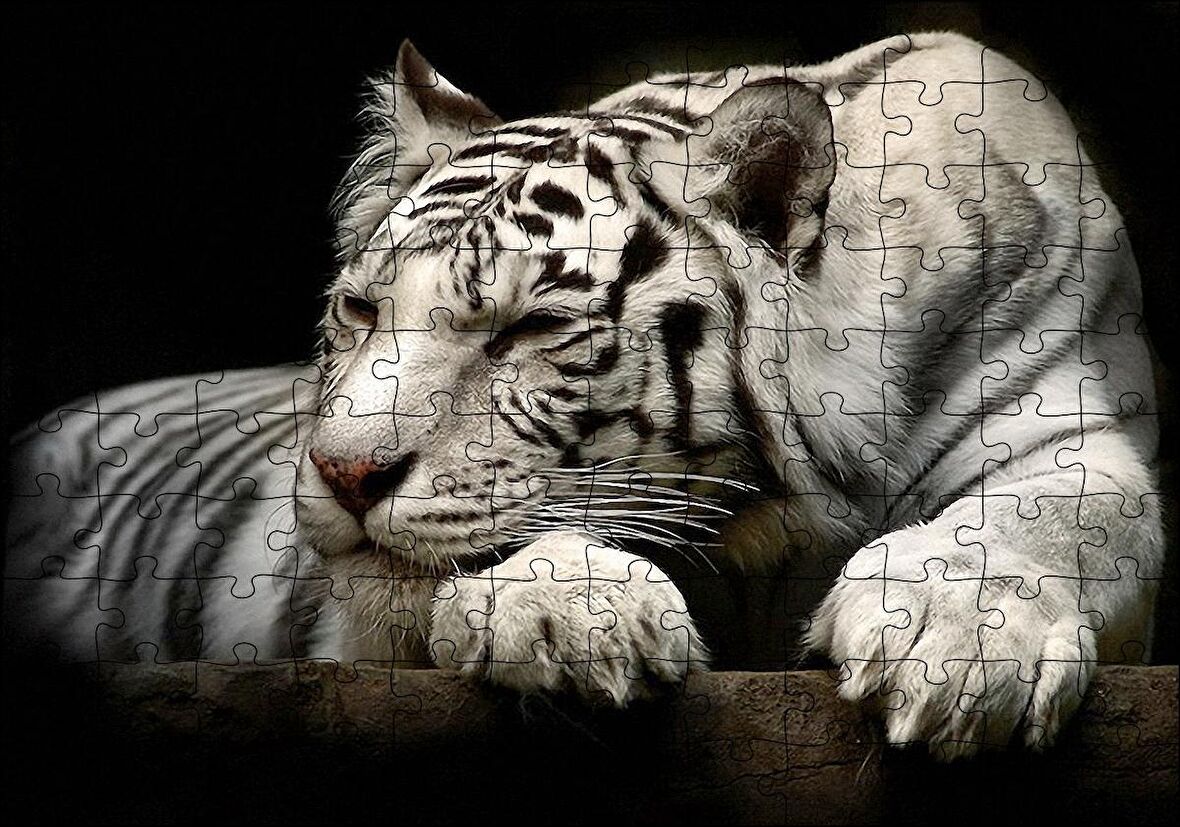 Cakapuzzle Uyuklayan Beyaz Kaplan Karanlık Arka Plan Puzzle Yapboz MDF Ahşap