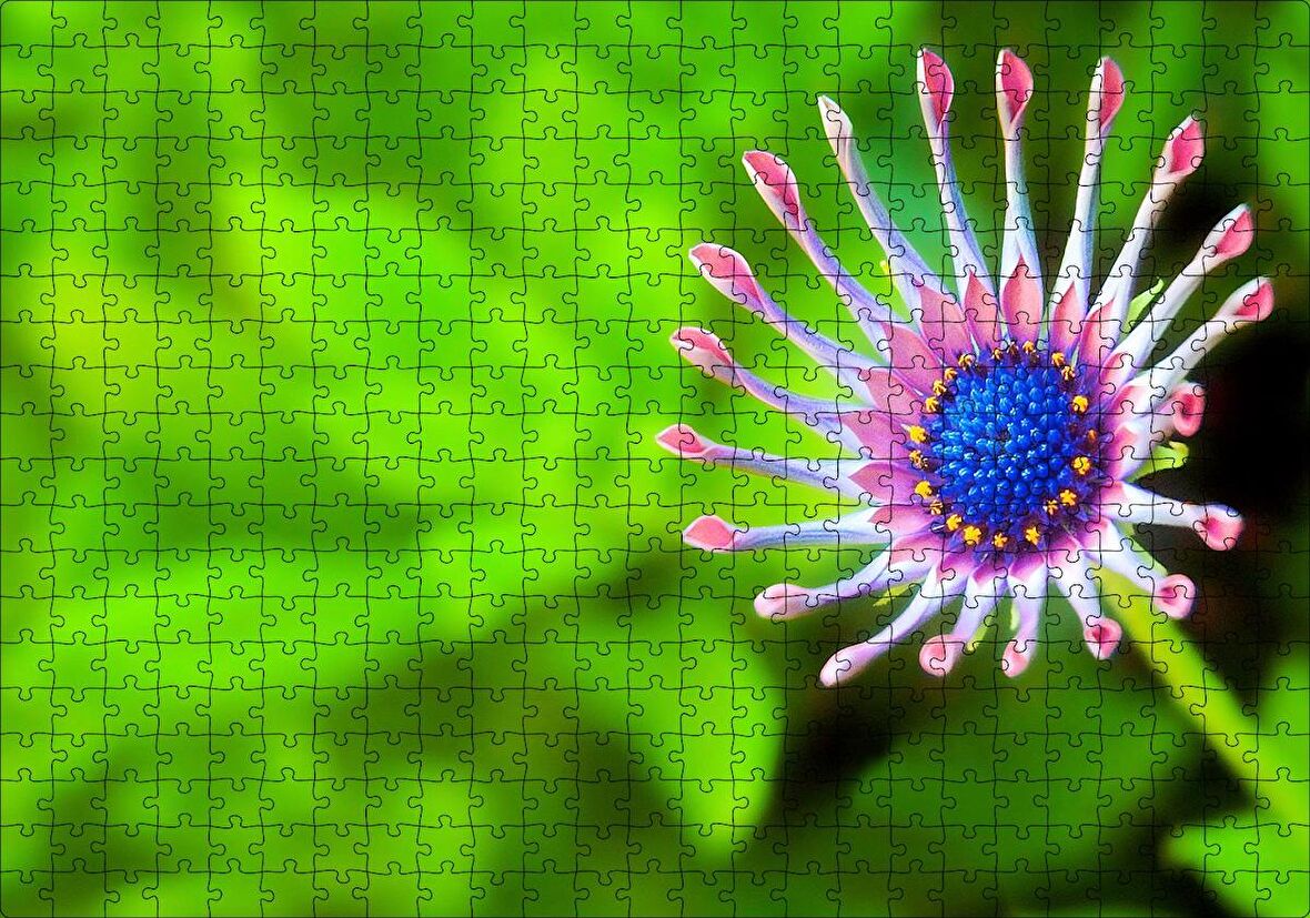 Cakapuzzle Yakın Çekim Çiçek Yeşil Flu Arkaplan Puzzle Yapboz MDF Ahşap