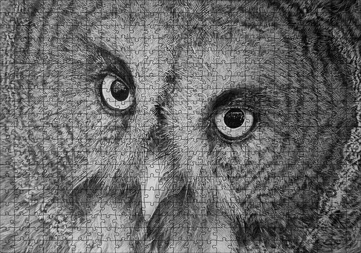 Cakapuzzle Gri Baykuş Yüz Yakın Çekim Puzzle Yapboz MDF Ahşap