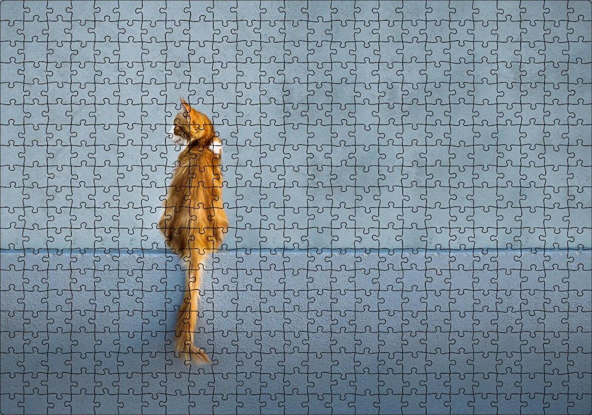 Cakapuzzle Mavi Duvar Önündeki Sarı Kedi Puzzle Yapboz MDF Ahşap