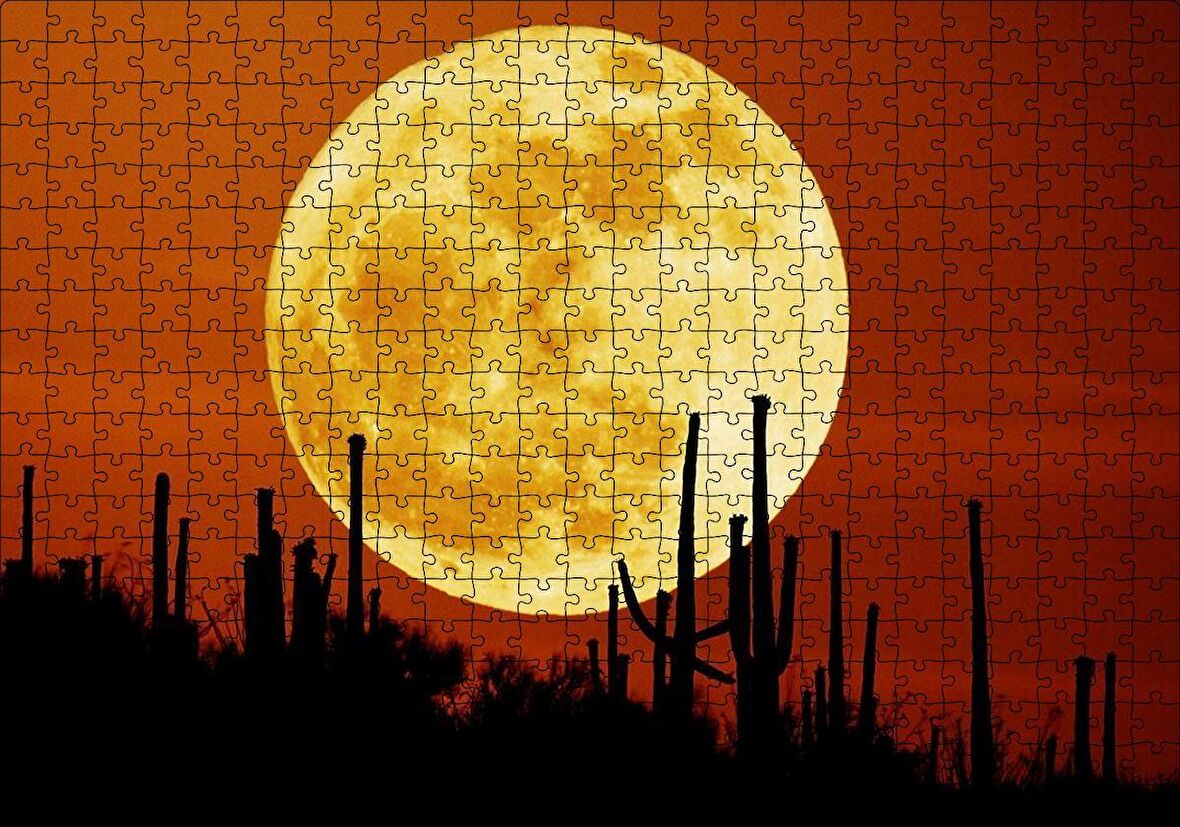 Cakapuzzle Arizona'da Kaktüsler ve Arkada Muhteşem Süper Ay Puzzle Yapboz MDF Ahşap