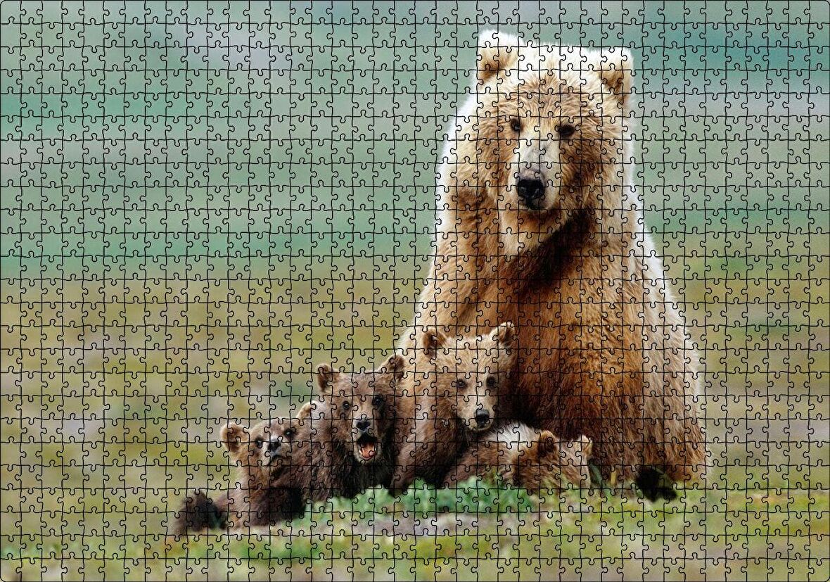 Cakapuzzle Çayırda Anne Boz Ayı ve Sevimli Yavruları Puzzle Yapboz MDF Ahşap