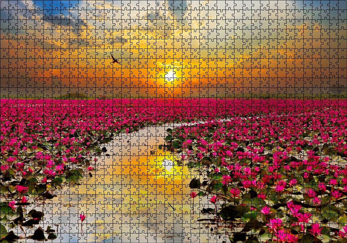 Cakapuzzle Günbatımında Gölde Pembe Çiçekler Puzzle Yapboz MDF Ahşap